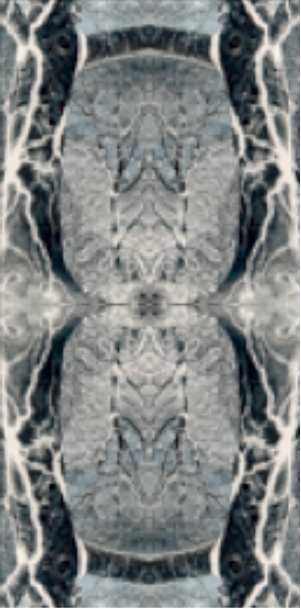 Wendy_Clarke_Life-Isnt_Always_BW_4.jpg