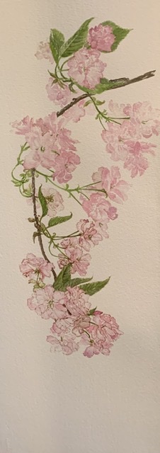 Julie Dunham | Pink Blossom | Mctamney Gallery and Design Store | Geraldine NZ