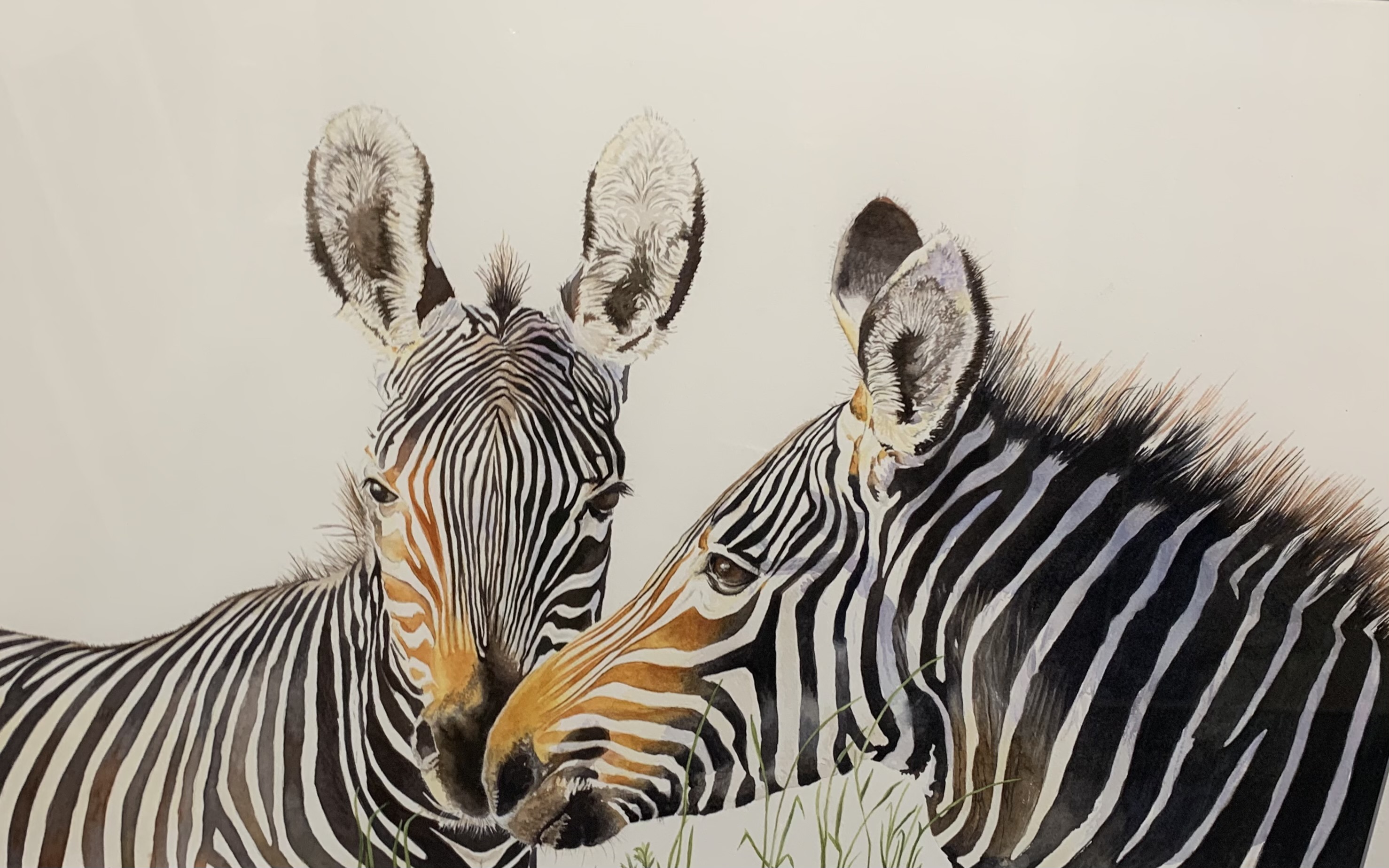 Jacqueline Hocquard | Born Free | McAtamney Gallery and Design Store | Geraldine NZ