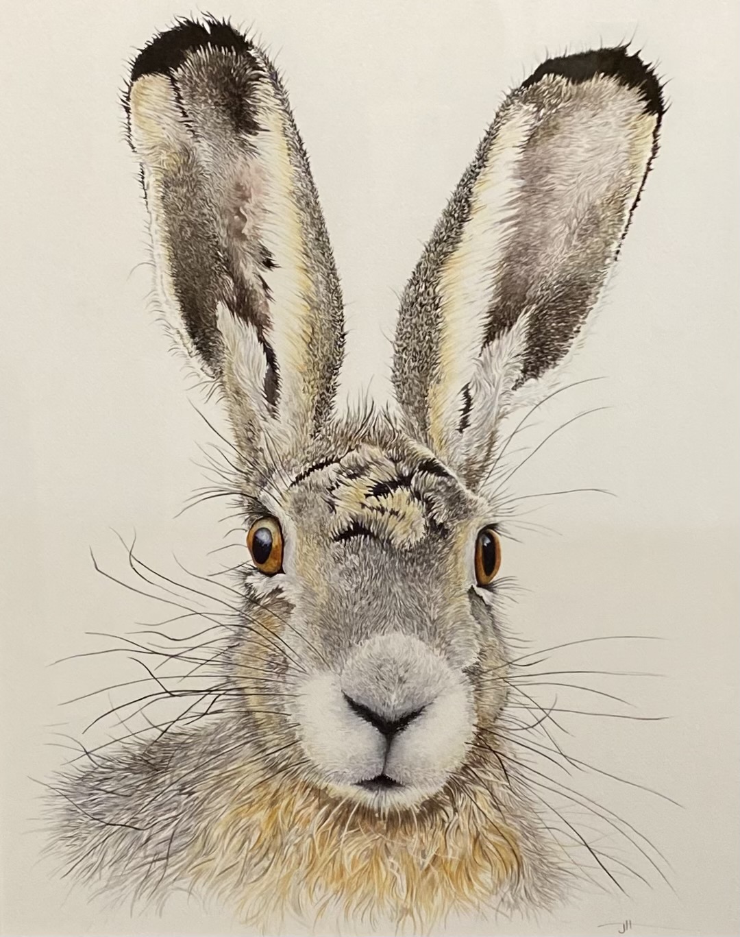 Jacqueline Hocquard | Whiskers | McAtamney Gallery and Design Store | Geraldine NZ